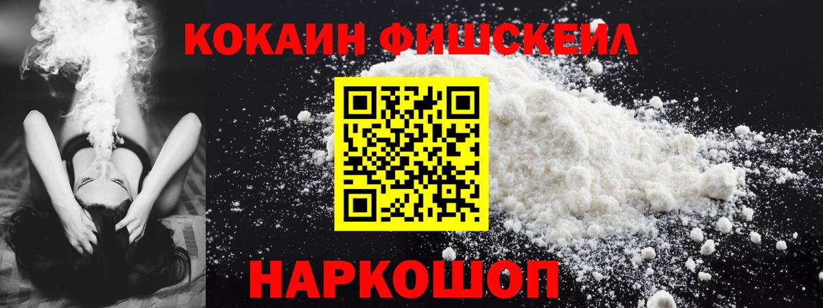 Урюпинск  COCAIN Fish Scale  COCAIN  Вход с VPN  COCAIN Fish Scale 