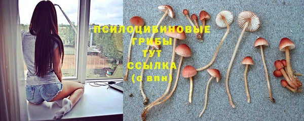 не бодяженный Абинск