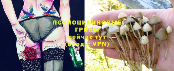 не бодяженный Абинск