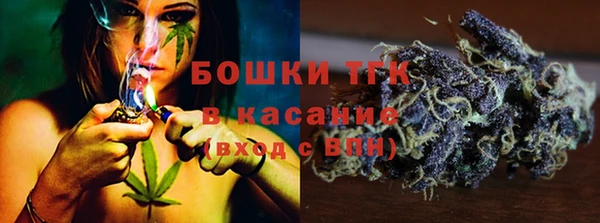 твердый Абаза