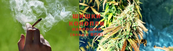 твердый Абаза