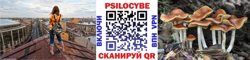 Галлюциногенные грибы мухоморы  omg tor  Урюпинск 